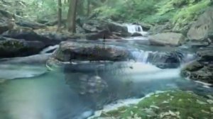 Кельтская музыка