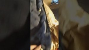 шумоизоляция дверных карт на Ниссан - жук.