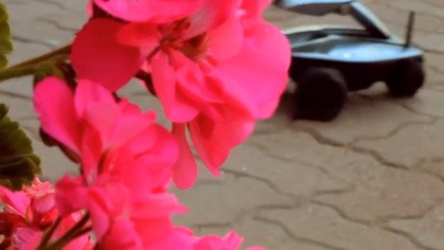 Ролик открытие сервисного центра HP КОМПЛИТ смотреть онлайн