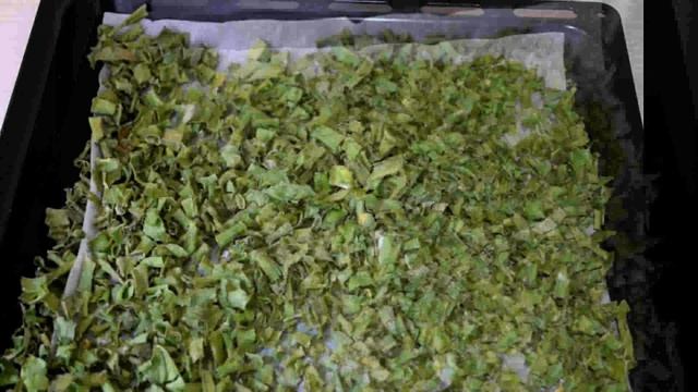 Как сушить зелёный лук на зиму? Зеленый лук на зиму смотреть онлайн