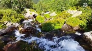 Илья Муромец и Калин-царь. Слушать былину