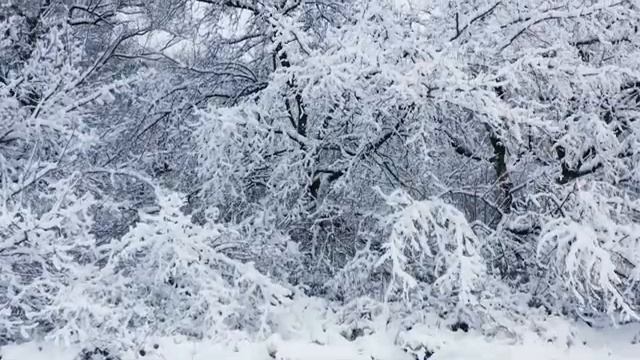 послушайте эту музыку и вам станет легче?Нежная музыка, успокаивает нервную систему и радует душу