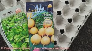 ЖАЛЕЮ ЧТО РАНЬШЕ ТАК НЕ СЕЯЛА РЕДИС И САЛАТ! НЕОБЫЧНЫЙ СПОСОБ РАННЕГО ПОСЕВА РЕДИСА В ЯИЧНЫЕ ЛОТКИ