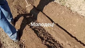 Огород по Митлайдеру