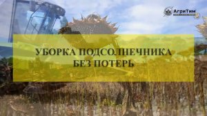 УБОРКА ПОДСОЛНЕЧНИКА БЕЗ ПОТЕРЬ