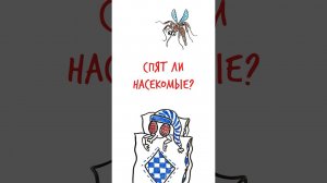 Спят ли НАСЕКОМЫЕ? — Научпок #шортс