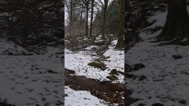 Wicklow mountains,Ireland