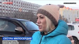 В Новосибирске школьница простояла 6 часов на морозе ради спасения собаки
