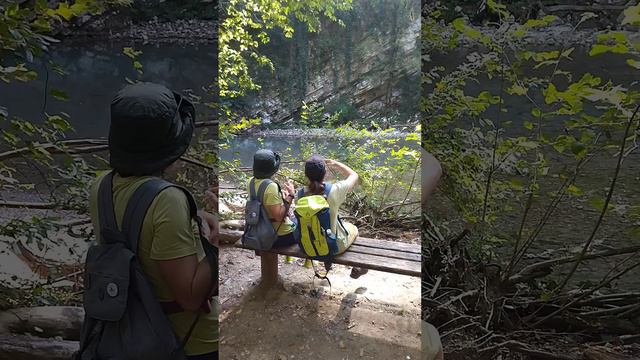 Удобные лавочки для туристов в Самшитовой роще в Хосте