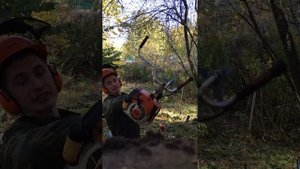 Сравнение бензиновых триммеров штиль фс 250 и фс 450 | Comparison of gasoline trimmers Stihl