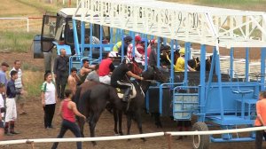 Скачки на лошадях Элиста 16 мая 2013г.  II заезд, 1600 метров