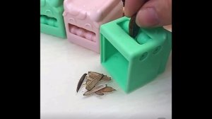 Устройство для очистки семян тыквы семечек подсолнуха