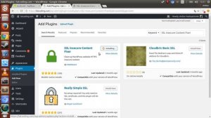Wordpress (https error) - mixed content was loaded over https but requested an insecure script