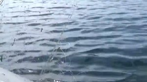 Рыбалка. Ловля плотвы (сороги) сетями. На Ангаре./Fishing. Fishing for roach (Soroki) networks.