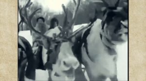 Кола Бельды. Фронтовик, моряк и певец из тундры