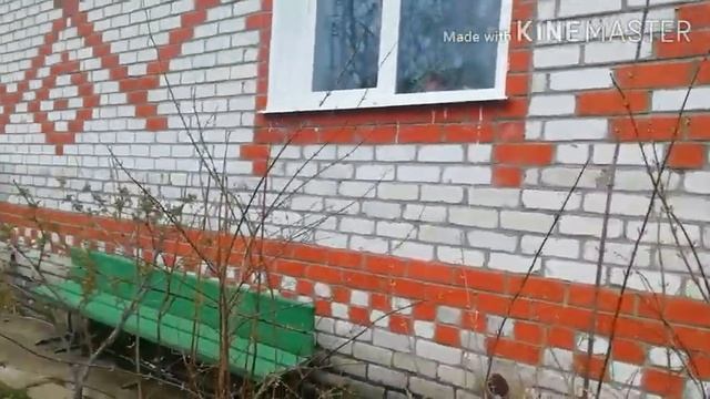 Начинаем удобрять декоративные кустарники.