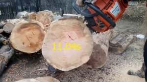 Husqvarna 365 Special vs 372XP X-Torq (same bar and chain)