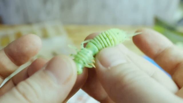 О рыбалке на джиг,с чего начать.Рыбалка на спиннинг. смотреть онлайн