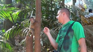 ГОА за один день. Заповедник - Бхагван Махавир. Водопад Дудхсагар. Храм Шантадурга.