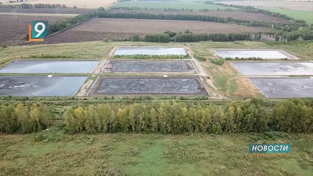 Проблема специфических запахов от свиноводческих комплексов будет решена научными методами смотреть онлайн