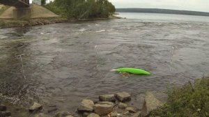 Разновидности эскимосского переворота