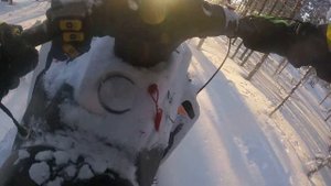 Стелс мороз по лесу и пухляку.