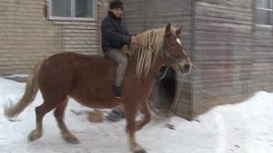 1_ЦС ИЛЬЯ и ДАРЬЯ