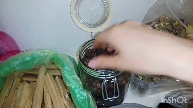 Чем кормить шиншилл? Питание шиншилл.