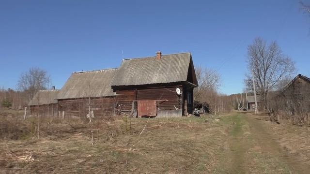 Деревни в глубинке России. Скромная деревня в лесу. Заброшенные дома в деревне. Людей в деревне нет.