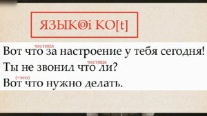 Запятая перед "что". Знаки препинания.