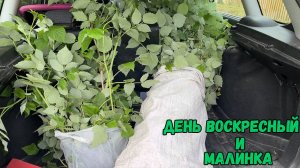 День воскресный и малинка