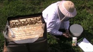 Varroa check with Marla Spivak powder sugar method.avi