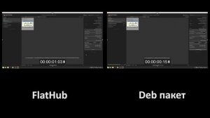 Что лучше и быстрее FlatHub vs Deb пакет ??? ???