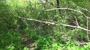 Хмелевое Корочанский район Белгородская область и пруды в Корочанском районе Белгородской области