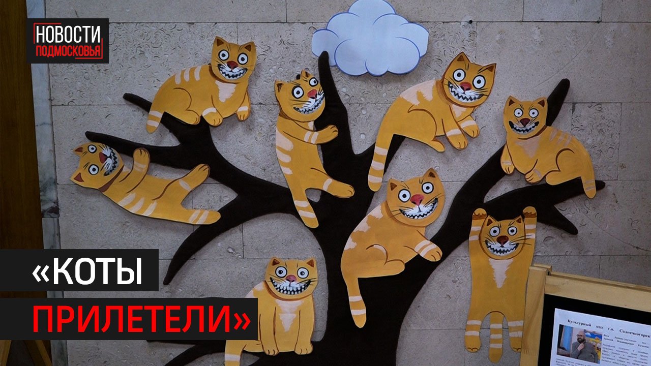 В Солнечногорске создали арт-объект по мотивам творчества Васи Ложкина