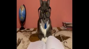 Мини серия ШПАРГАЛКА