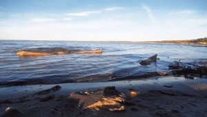 Плеск воды.mp4