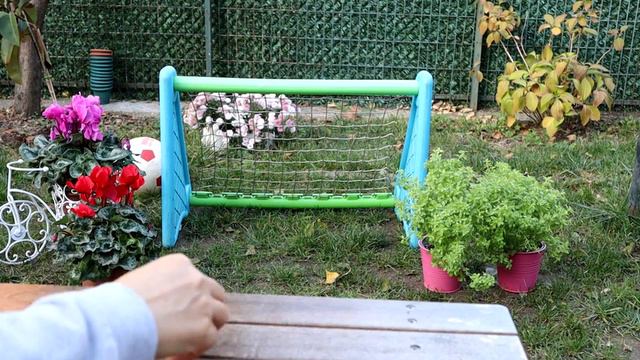 COCO, the tangerine loving puppy / щенок любящий мандарин COCO / جرو اليوسفي المحب COCO смотреть онлайн