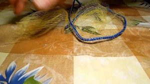 Делаем для домашних рыбок: сачок своими руками