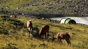 КГПБЗ: Озеро Безмолвия  туры и люди