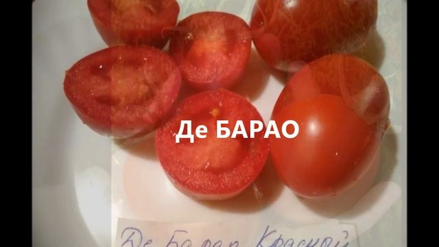 ЛУЧШИЕ, НАДЕЖНЫЕ ТОМАТЫ! Урожай в любую погоду! Классика сортов ДАЧА УДАЧИ