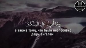Кричат #шайтаны | Иса Барахоев | Коран