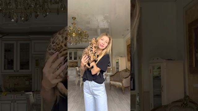 Питомник бенгальских кошек. Как и где купить бенгальского котёнка