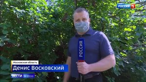 Алабай напал на женщину в подмосковье