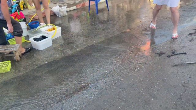 Ольгинка.Туапсинский район. 16.07.2023.