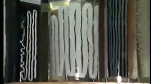 Тип  Плоские черви