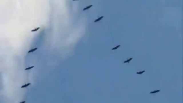 ПРОЕКТ ЖУРАВЛИ АВТОР СЕРГЕЙ НАРУШЕВ смотреть онлайн