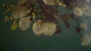 Ветер перемен(Сотни лет и день, и ночь вращается карусель - земля(наброски)