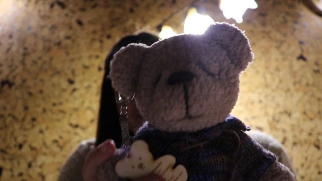 Мишки Фёдор и Федора смотреть онлайн