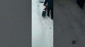 снегокат из бензопилы ПЕРВЫЕ ИСПЫТАНИЯ